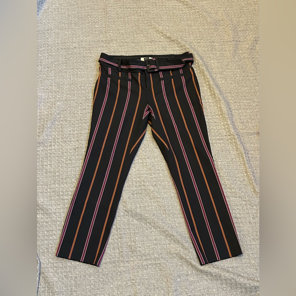 Anthropolgoie Womens Essential Slim Cropped Pants Size 2P Belted Striped